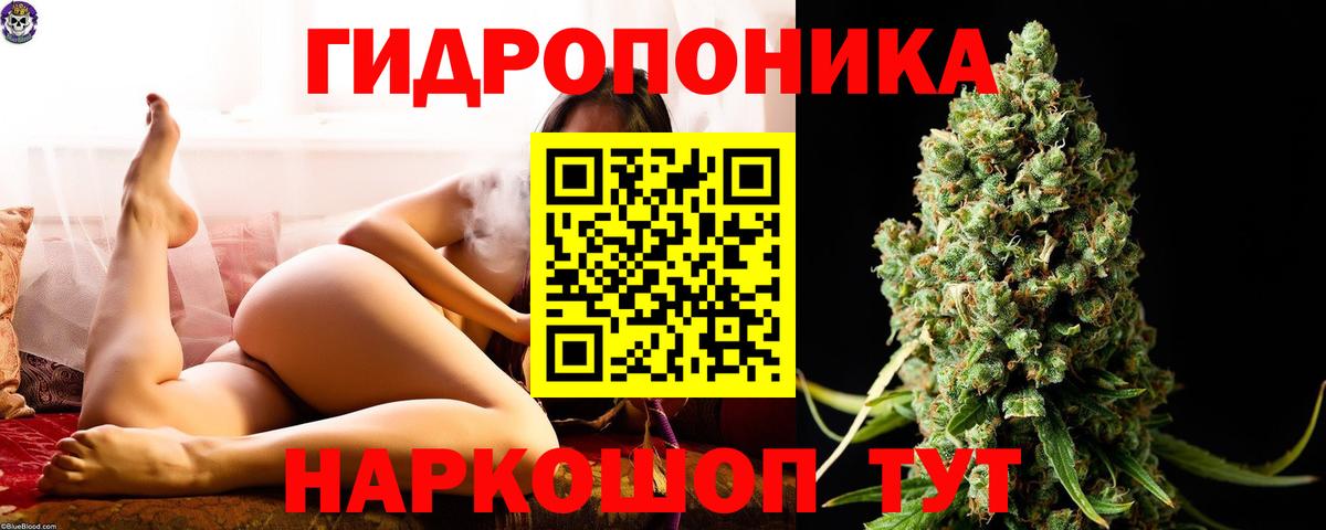 Каннабис конопля Королёв
